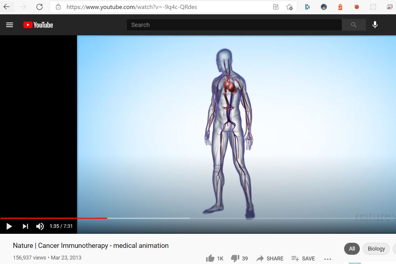 Backward Cardiovascular System