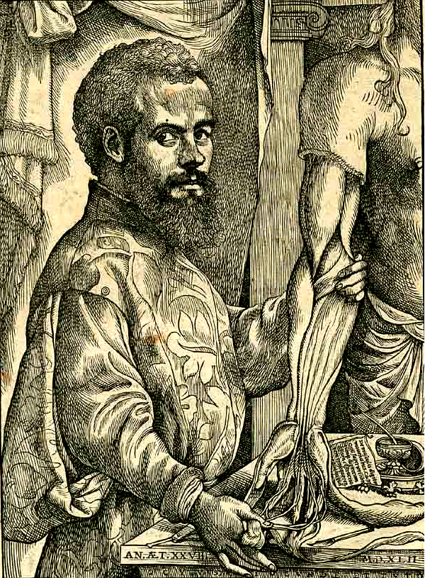 Vasalius