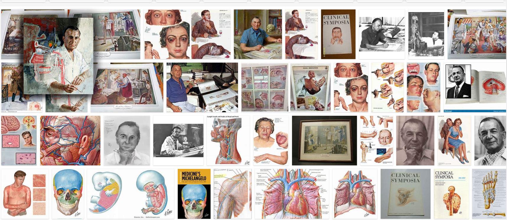 Netter illustrations