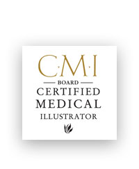 Certified medical illustrator