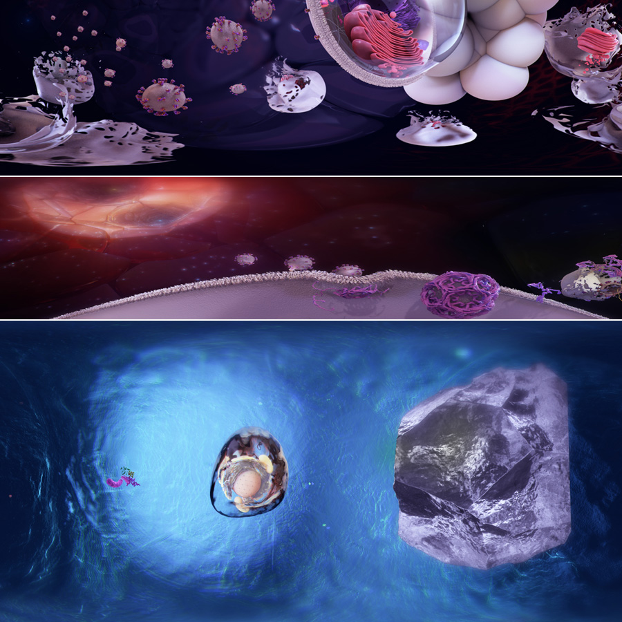 360° VR Virus Expedition - Interactive virus education experience