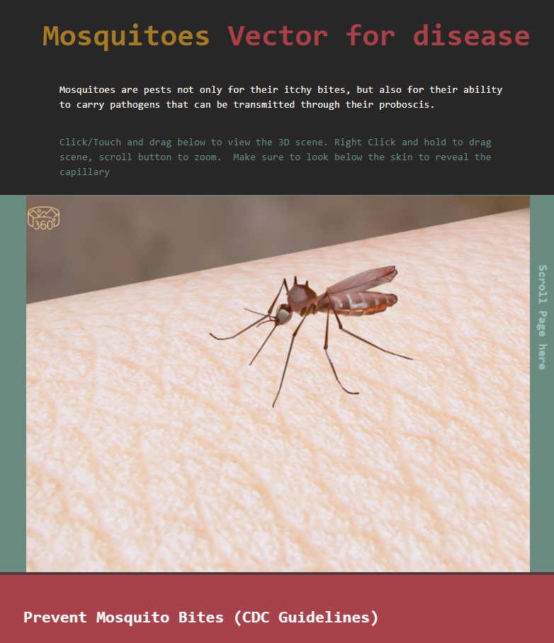 3D mosquito model in browser